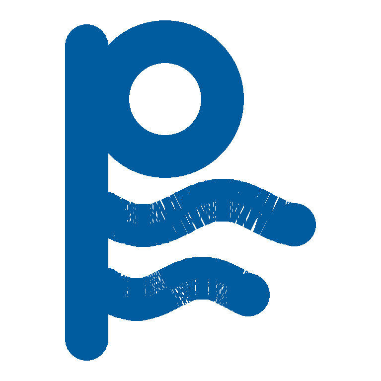 ProviderFlow Logo